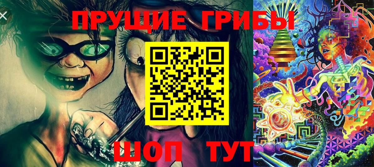 Троицк  Галлюциногенные грибы Psilocybine cubensis  Вход с VPN 